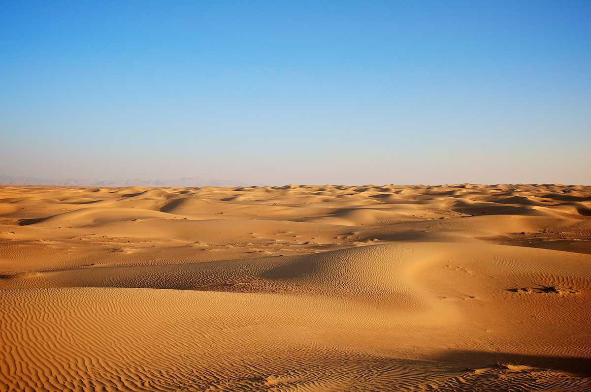 desert song