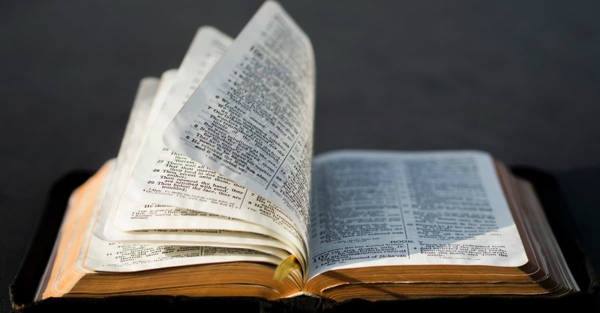 The Bible