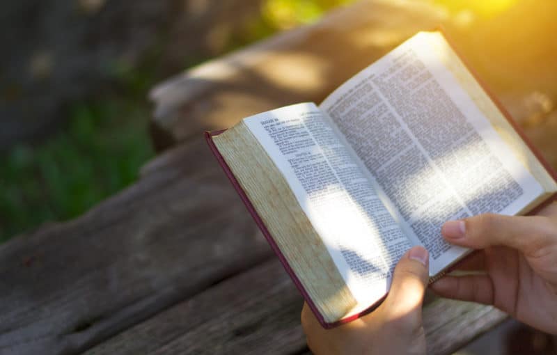 Today's Bible Reading