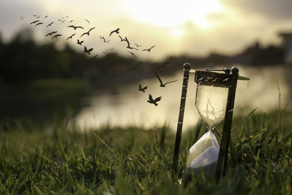 How are Your Stones of Remembrance Coming Along? An 8step DreamGoNow