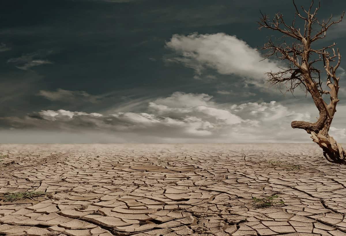 tilling the soil of our soul