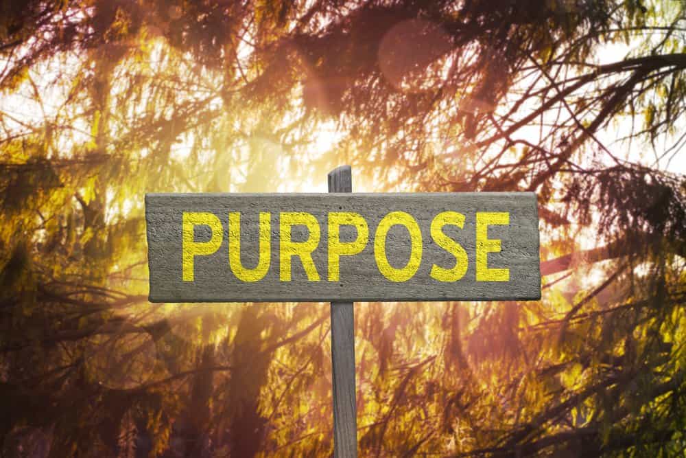 Your Purpose Barometer Christian Learning & News