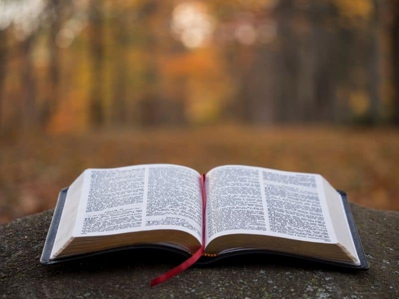 how revival comes