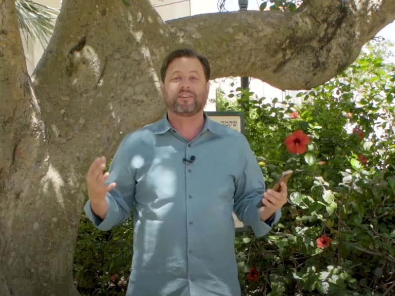 How do you respond to Jesus?