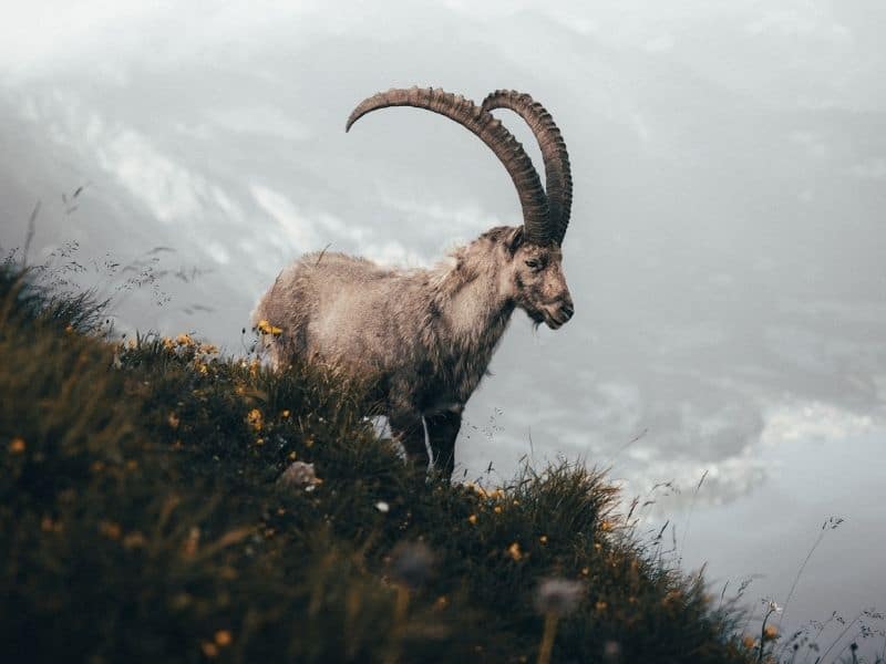 The Jewish Origin Of The Word, 