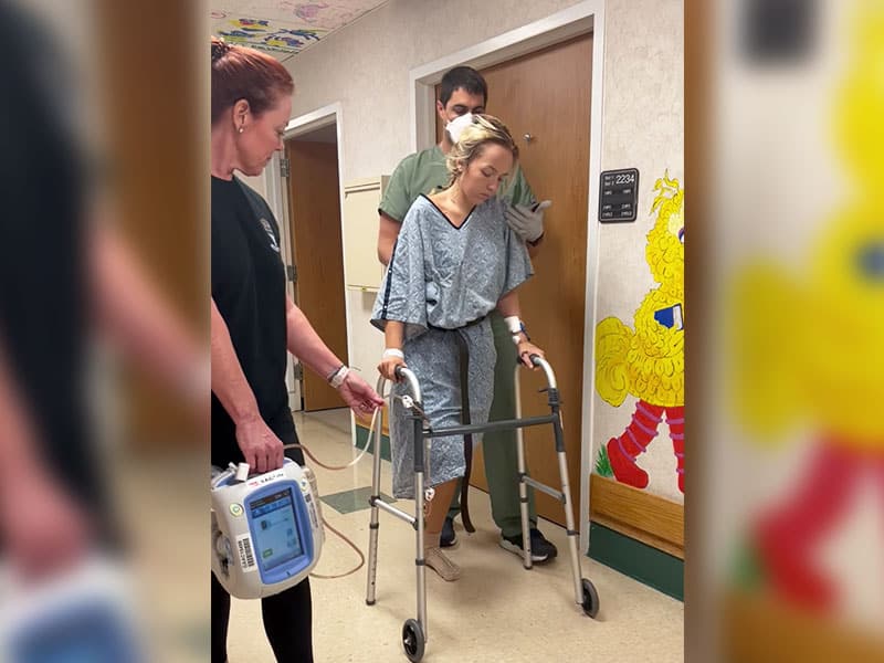 Deadly shark attack incident